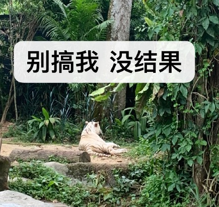 动物园 搞笑 魔性 萌宠 文字表情包