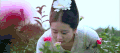 刘诗诗 美女 眼神 花 春天