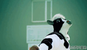 奶牛 跳舞