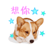 想你 狗狗 星星 趴地上