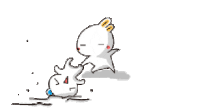 兔子 生气 打架