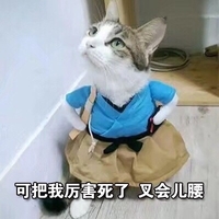 猫咪 大眼睛 掐腰 可把我厉害死了叉会儿腰