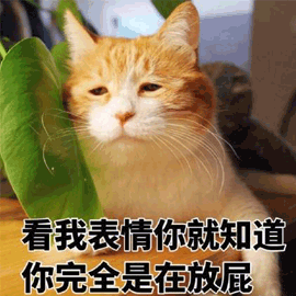 表情 猫 放屁