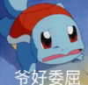 抽象话 铁憨憨 杰尼龟 宝可梦 蠢萌