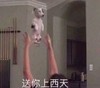 萌宠 汪星人 送你上西天 搞怪 逗