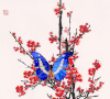 蝴蝶 butterfly 梅花 animal