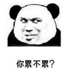 暴漫 熊猫头 你累不累 好奇 搞怪 逗