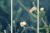 暮春时节 暮春