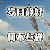 佛系 岁月静好 何不参禅 soogif soogif出品