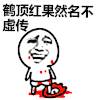 金馆长 调皮 搞笑 逗逼 鹤顶红果然名不虚传
