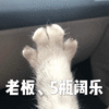 老板 猫 可乐 搞怪 逗