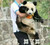 熊猫 手套 抱着 宝哥算了算了