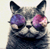 宠物 猫咪 创意 萌 gif