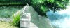 水波 清澈 河岸 大树