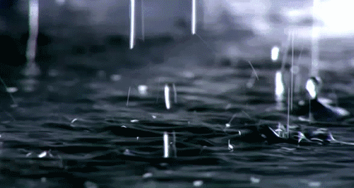 下雨 水波纹 水滴 黑白 雨点 雨点壁纸