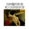 狗狗 大眼睛  晃头 有人叫你的名字