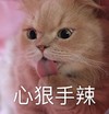 萌宠 喵星人 心狠手辣 警告 凶巴巴 威胁