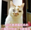 猫咪 喵星人 敲里吗 斗图 搞笑 可爱