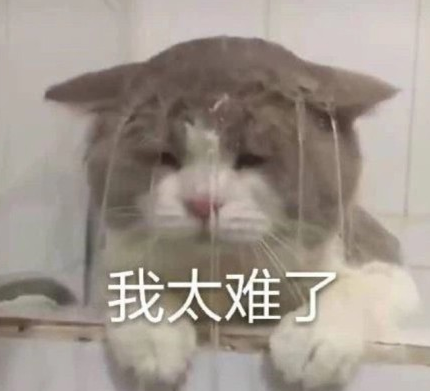 沙雕 逗 搞笑 文字表情包 蠢萌