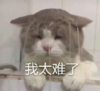 沙雕 逗 搞笑 文字表情包 蠢萌