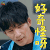 明星大侦探 大张伟 好奇怪呀 蒙圈 soogif soogif出品