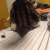 猫咪 摇尾巴 开心 乖巧