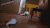 女神像 重口味 精子 猎奇 動畫 创作 电影 艺术 自由 gif