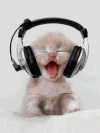 猫咪 陶醉 听歌 可爱