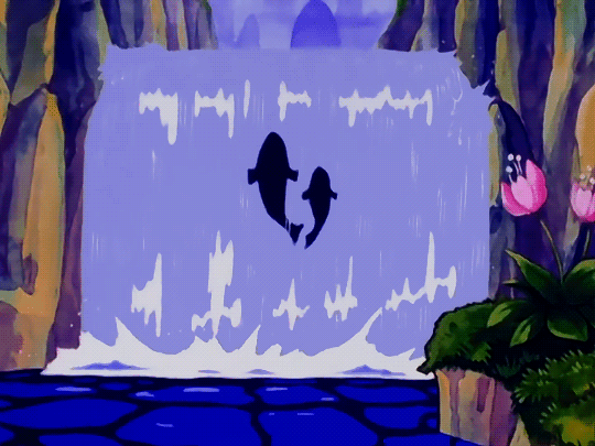 海豚 瀑布 影子 花
