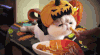 小猫 白色 帽子 食物