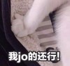 萌宠 猫星人 我jo的还行 猫爪 呆萌 可爱
