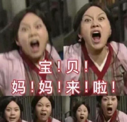 追星女孩日常 沙雕 搞笑 萌 文字表情包