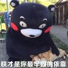 熊猫 狗狗 可爱 朕才是你最牢固的依靠