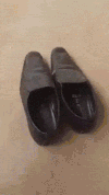 蛇  皮鞋 棒子 装逼