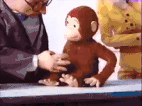 猴子 挠痒痒 好奇的乔治