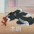 木啊 猫和老鼠 恶搞 亲吻