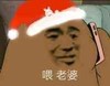 斗图 熊 喂 老婆