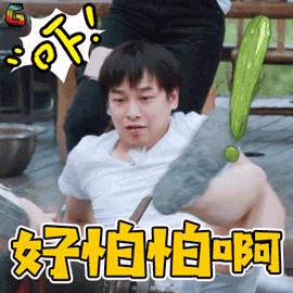 向往的生活GIF图片图_向往的生活表情_向往要考试的表情动态图片