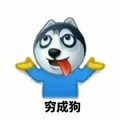 狗狗 吐舌头 可爱 穷成狗