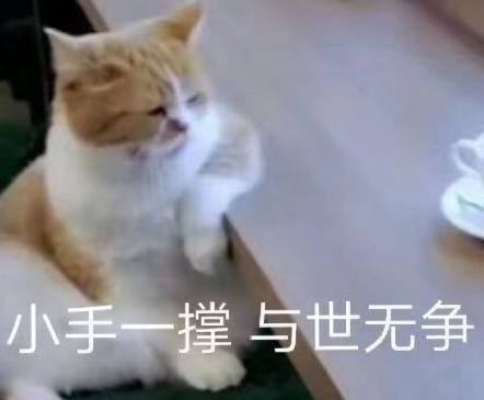 搞笑 沙雕 魔性 文字表情包 逗