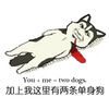 加上我这里有两条单身狗 搞笑 可笑 动物