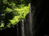 瀑布 森林 自然 风景