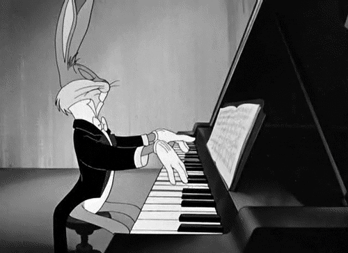 钢琴 兔子 音乐 弹奏
