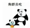 狗群员吃(屎) 熊猫 屎 狗群员吃