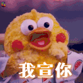 鹦鹉兄弟 我宣你 soogif soogif出品