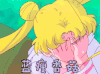 蓝瘦香菇 美少女战士 水兵月