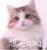 斗图 猫咪 想泥qaq