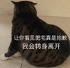 萌宠 猫星人 让你看见肥宅真是抱歉 我会转身离开 呆萌 可爱