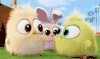 愤怒的小鸟 Angry Birds movie 毛茸茸 大眼 呆萌 敲可爱 围观 单身狗