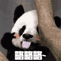 萌宠 大熊猫 熊猫 略略略 吐舌头 拒绝